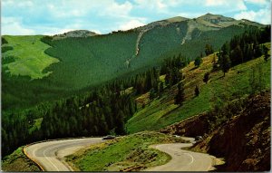 Vtg Road on the Northern Slope of Mt Washburn Yellowstone National Park Postcard