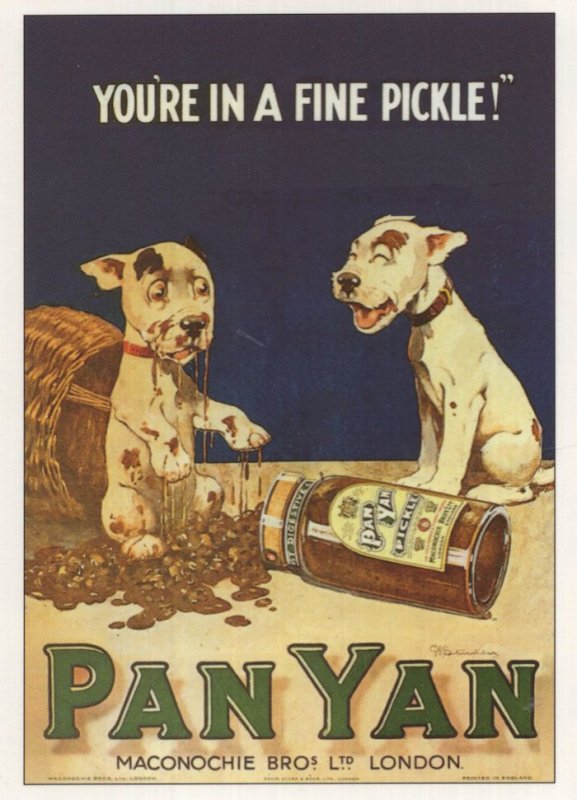 Pan Yan Panyan Pickle Food Sauce Dogs Poster Advertising Postcard