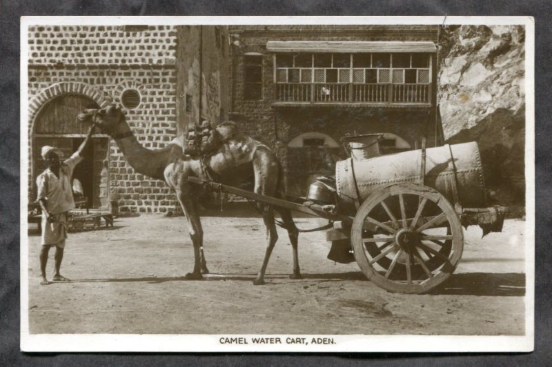 dc1122 - ADEN Yemen 1930s Camel Water Cart. Vendor. Real Photo Postcard