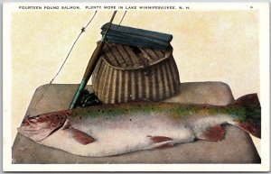 Fourteen Pound Salmon Plenty More in Lake Winnipesaukee New Hampshire Postcard