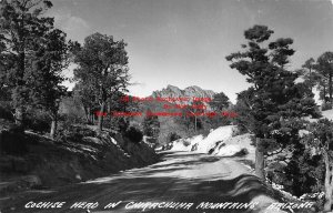 AZ, Chirachuha Mountains, Arizona, RPPC, Cochise Head, Cook Photo No E-58