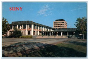 c1960s State University Of New York Exterior New Paltz New York NY Tree Postcard