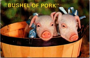 Animals Humour Pig Bushel Of Pork 1985
