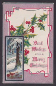 UNITED STATES, Postcard, Merry Christmas