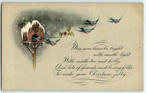 1907-15 Make Your Christmas Jolly Postcard Song Birds Snow House Winter