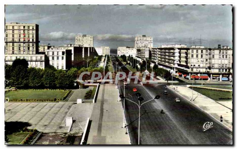 Le Havre - Avenue Foch - Old Postcard