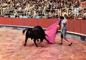 El Toro   Bull Fight 