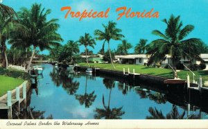 USA Tropical Florida Coconut Palms Border the Waterway Homes 07.06