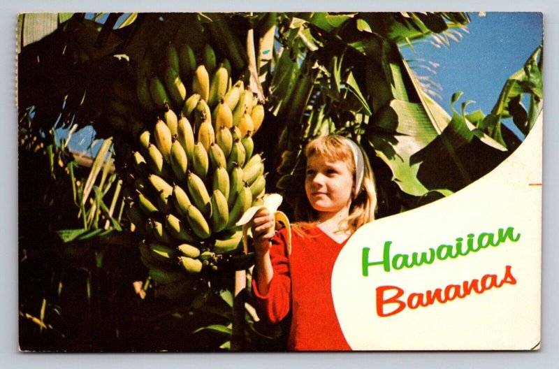 Hawaiian Bananas Vintage Posted 1972 Clark AFB Postcard