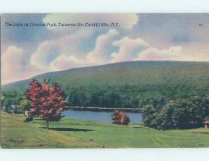 Pre-1980 PARK Catskill Mountains - Kingston & Poughkeepsie New York NY hk8644