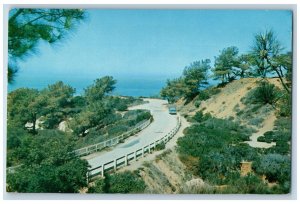 c1960s The Torrey Pines Southern Coast Of California Unposted Vintage Postcard