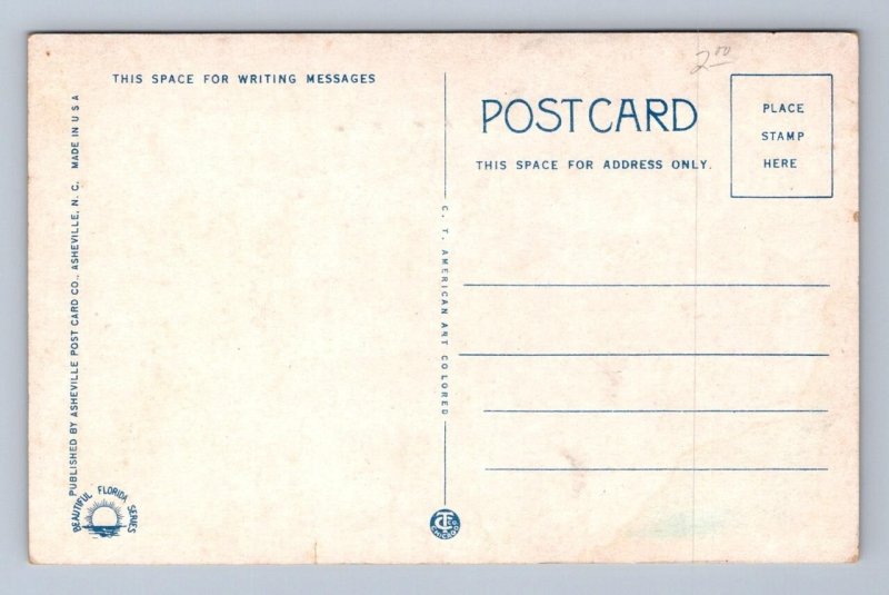 MANAVISTA HOTEL BRADENTON FLORIDA CURT TEICH POSTCARD (c.1908)