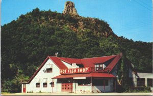 USA The Hot Fish Shop Winona Minnesota Chrome Postcard 09.45
