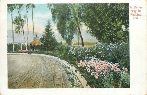 United States a driveway in Redlands California scenic vintage postcard