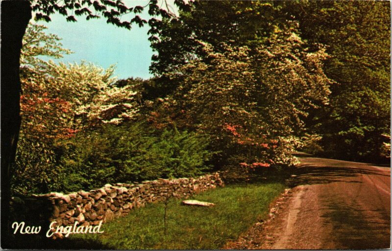 New England Rustic Stone Fence Old Road VTG Postcard UNP Dexter Unused Vintage 