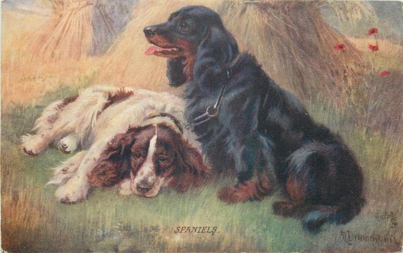 Vintage postcards lot artist signed AUGUST MULLER MUNCHEN dogs animals 
