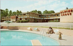Alpine Lodge Quality Inn Macon GA Georgia Pool Unused Vintage Postcard H38