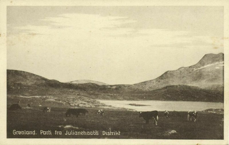 denmark, GREENLAND GRØNLAND, Parti Fra Julianehaabs Distrikt (1920s) Postcard