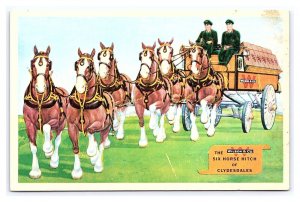Postcard Wilson & Co. Six Horse Hitch Of Clydesdales Chicago IL