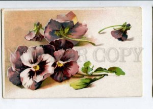 402746 CHarming PANSY by C. KLEIN vintage RUSSIA PC