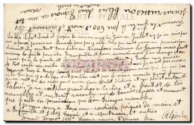 Old Postcard Algeria Camels In The Desert