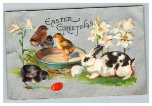 Vintage 1909 Easter Postcard - Cute Chicks Colored Eggs Black White Bunny NICE