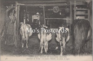 Occupations Postcard-Farming, Cows, Coutumes, Moeurs Et Costumes Bretons RS40295