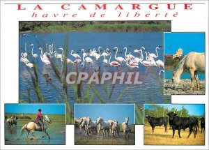 Postcard Modern Camargue haven of freedom