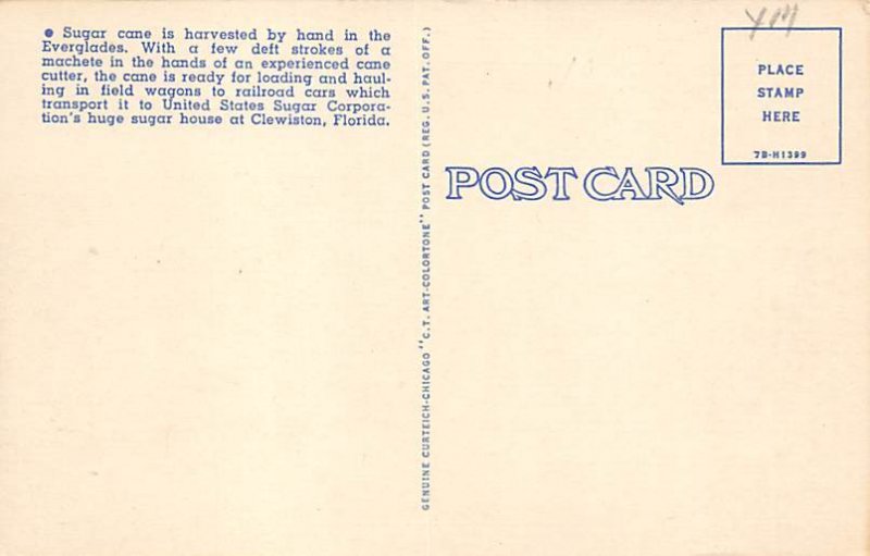 Everglades Harvesting Sugar Clewiston FL