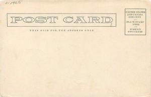 C-1905 Willow Lane Roswell New Mexico Peyton Drug Postcard undivided 13475