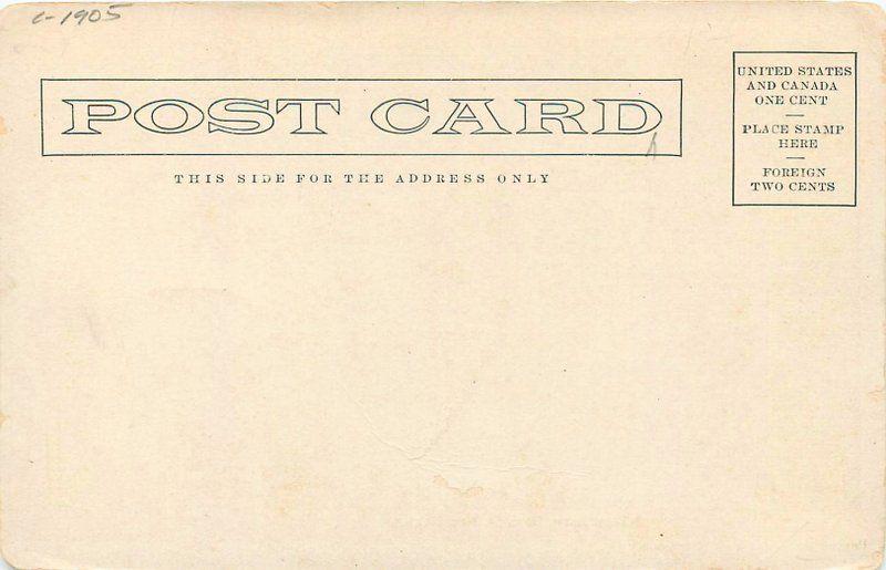 C-1905 Willow Lane Roswell New Mexico Peyton Drug Postcard undivided 13475