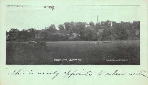 Salem New York Woody Hill Vintage Postcard CC4181