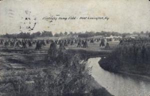Hemp Field Lexington KY 1907