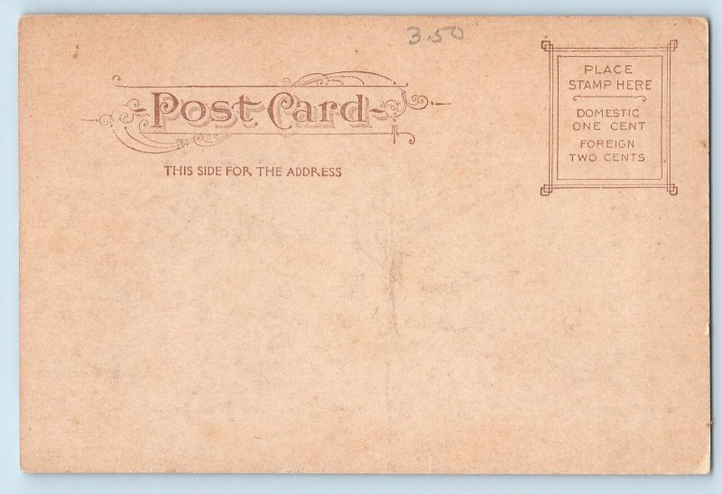 c1905's McCullagh Cottage Drury College Building Springfield Missouri Postcard