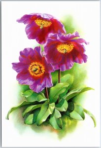 VINTAGE CHINA ILLUSTRATED MAXIMUM POSTCARD FLOWERS: MECONOPSIS DELAVAYI 1999