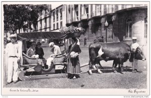 RP: Carro de bois - MADEIRA , Portugal , 20-40s