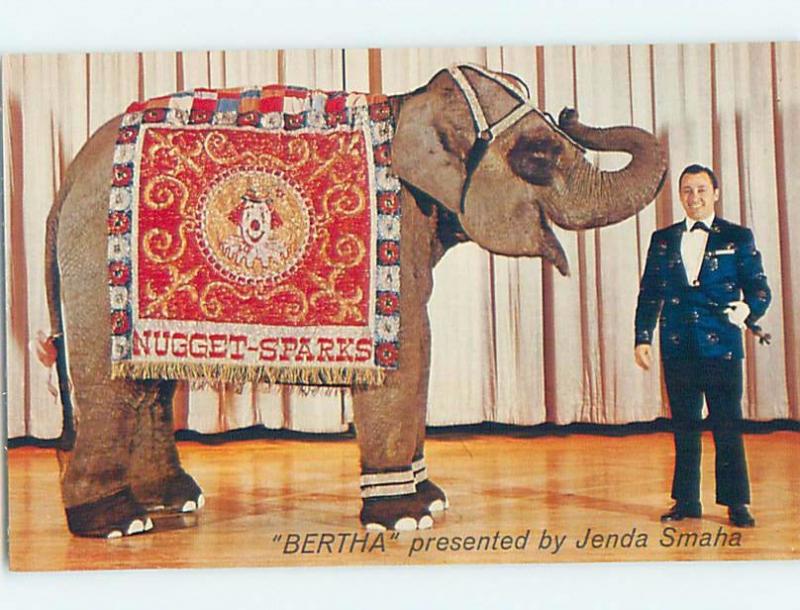 Pre-1980 ELEPHANT PERFORMER AT NUGGET CASINO HOTEL Sparks - East Reno NV B0635