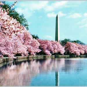 c1960s Washington DC Monument Obelisk Jumbo Postcard Kodachrome L.B. Prince 5O