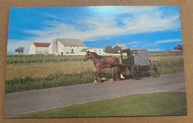 VINTAGE UNUSED POSTCARD - THE AMISH FAMILY CARRIAGE