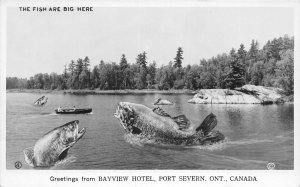 J37/ Port Severn Ontario Canada RPPC Exaggeration Postcard c1940s Fishing 58