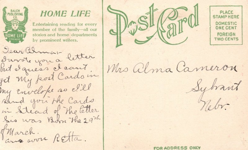 Vintage Postcard Language Of Flowers Violet As Faithfulness Lake & Mountains