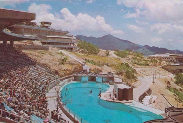 Ocean Park Aberdeen Dolphin Pond Dolphinarium Asian Hong Kong Photo Postcard