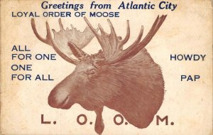 Atlantic City Loyal Order of Moose Fraternal c1910s Hubin's Vintage Postcard