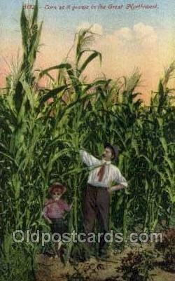 Corn, Great Northwest Farming Unused 