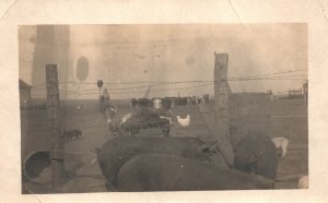 Postcard Real Photo Pig Chicken Cows Cattle Farm Animals Field Farmer Man RPPC