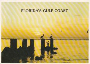 Florida Madeira Beach Gulfcoast Sunset