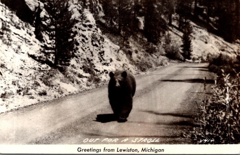 Michigan Greetings From Lewiston Bear Out For A Stroll Real Photo