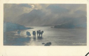 Postcard UK Painting Scotland Loch Lomond, Dunbartonshire ox