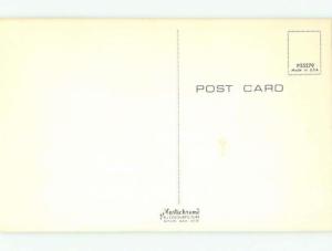 Pre-1980 Risque Comic BIRDS MAKING HOME IN PINK BRA AB7023