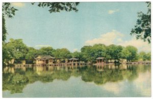 China 1956 Unused Complete Set of 12 Postcard West Lake